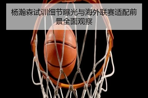 杨瀚森试训细节曝光与海外联赛适配前景全面观察