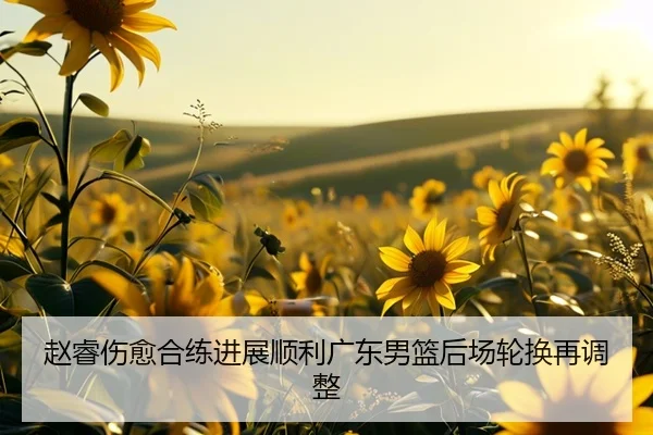 赵睿伤愈合练进展顺利广东男篮后场轮换再调整